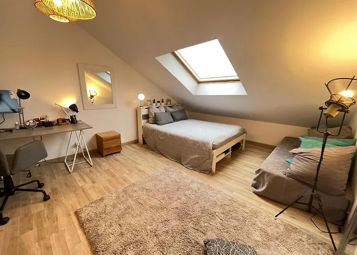 Ady's - Proche Circuit Des 24h - Tramway - 5 Pers 度假居 *